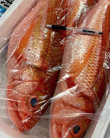 Los peces acumulan restos de medicamentos y productos de higiene
