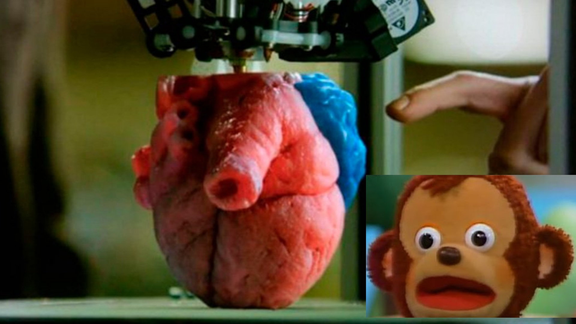 Crearon el primer corazón vivo hecho con una impresora 3D y tejido humano