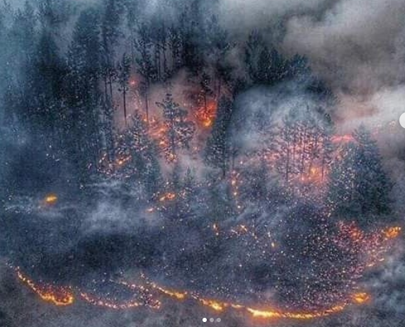 Incendios en Alaska por altas temperaturas nunca antes registradas.
