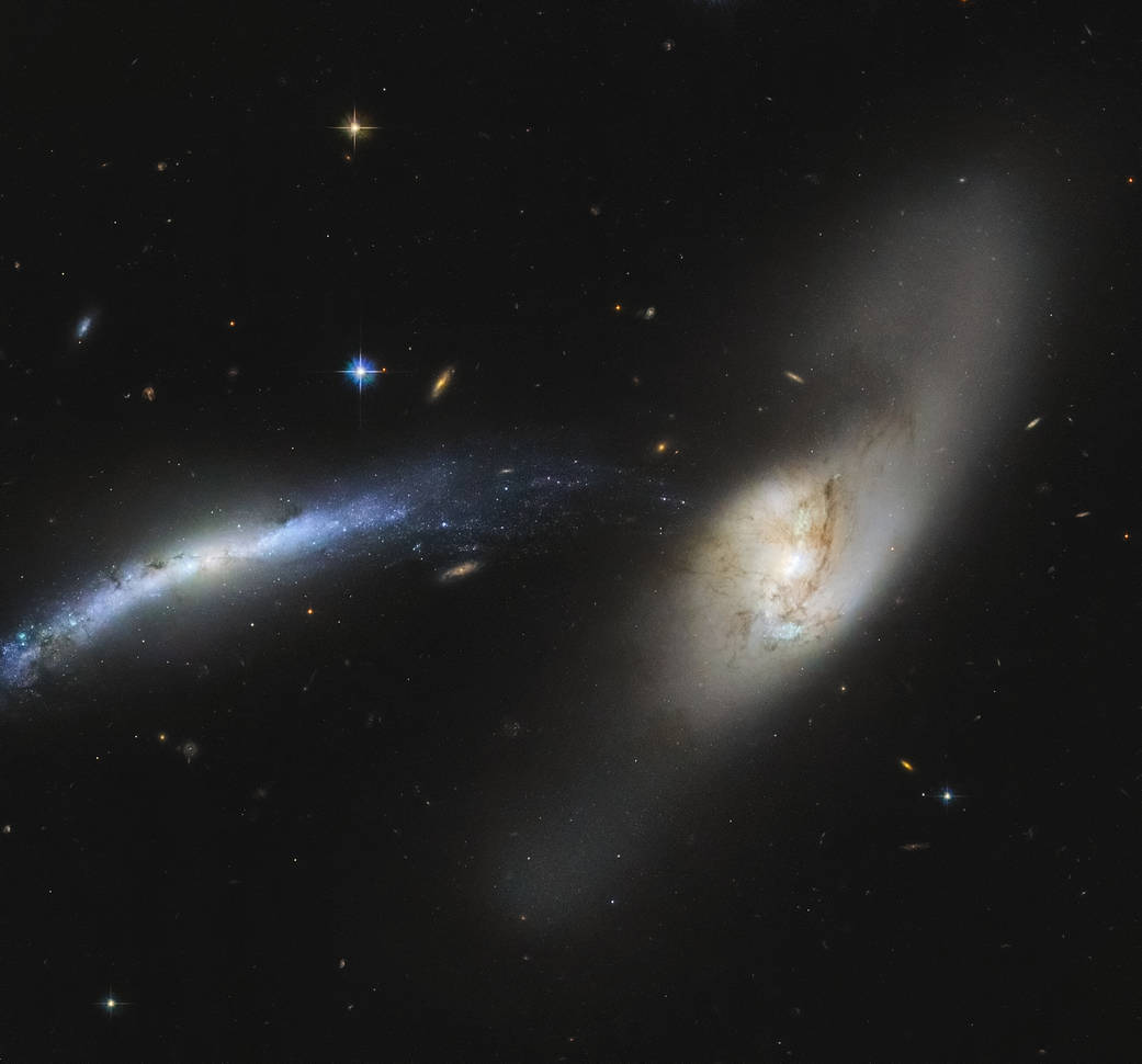 In this spectacular image captured by the NASA/ESA Hubble Space Telescope, the galaxy NGC 2799 (on the left) is seemingly being pulled into the centre of the galaxy NGC 2798 (on the right).  Interacting galaxies, such as these, are so named because of the influence they have on each other, which may eventually result in a merger or a unique formation. Already, these two galaxies have seemingly formed a sideways waterspout, with stars from NGC 2799 appearing to fall into NGC 2798 almost like drops of water.  Galactic mergers can take place over several hundred million to over a billion years. While one might think the merger of two galaxies would be catastrophic for the stellar systems within, the sheer amount of space between stars means that stellar collisions are unlikely and stars typically drift past each other.