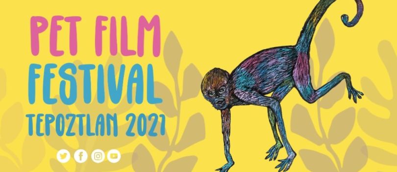 ¡No te pierdas el Pet Film Festival Tepoztlán 2021!