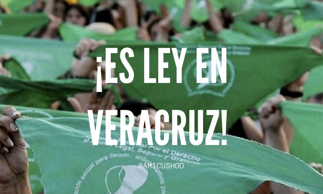 ¡Es ley! Veracruz es el cuarto estado en despenalizar el aborto