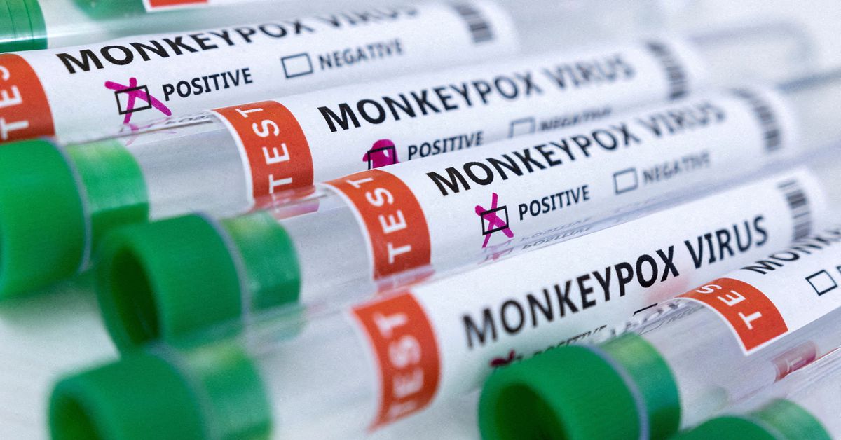 OMS declara a la viruela del mono como emergencia internacional
