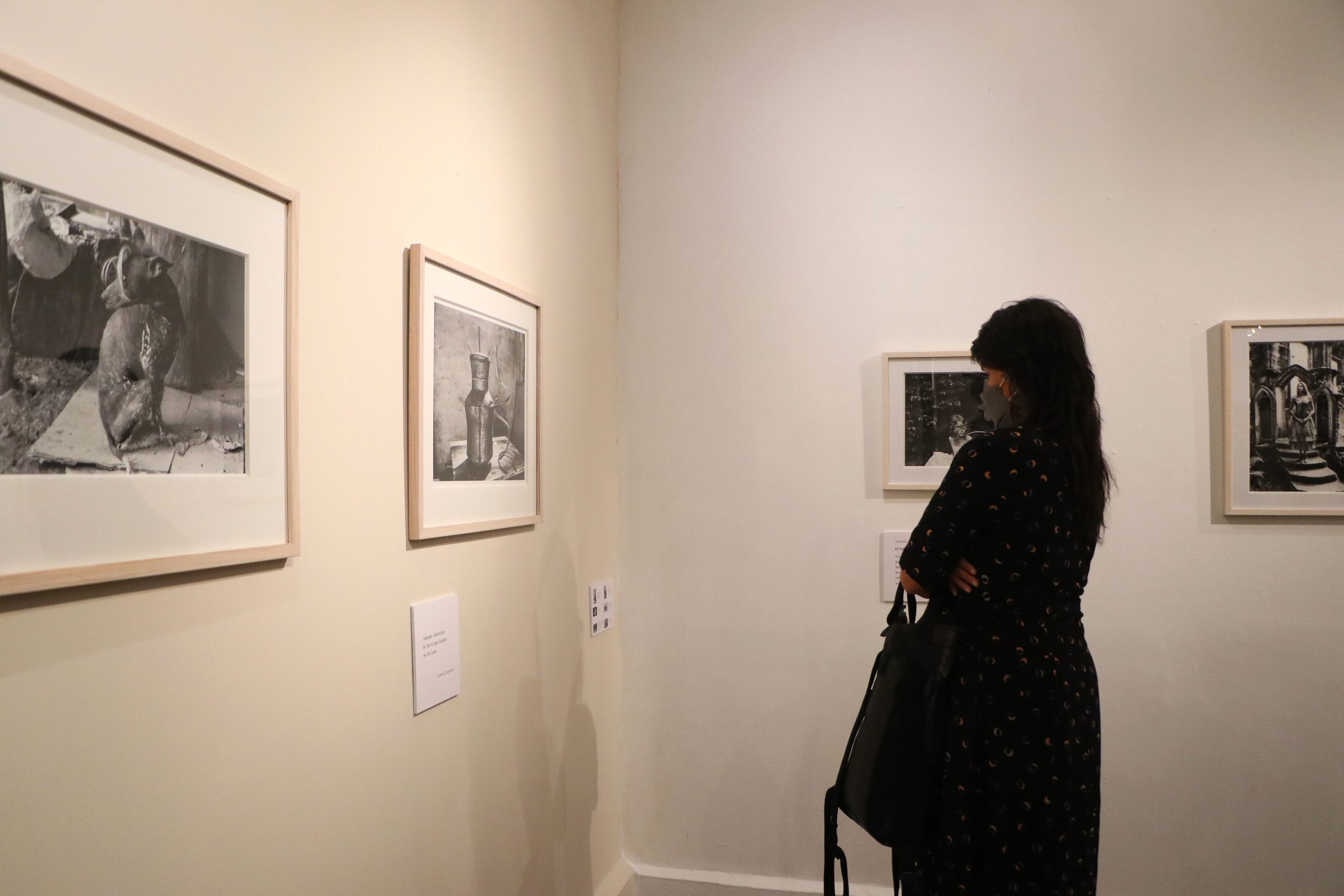 Jueves 12 de mayo de 2022

En el Museo Archivo de la Fotografía (MAF), se inauguró la exposición Encuentros afortunados, de Nadja Massün.

Fotografía: Tania Victoria/ Secretaría de Cultura de la Ciudad de México