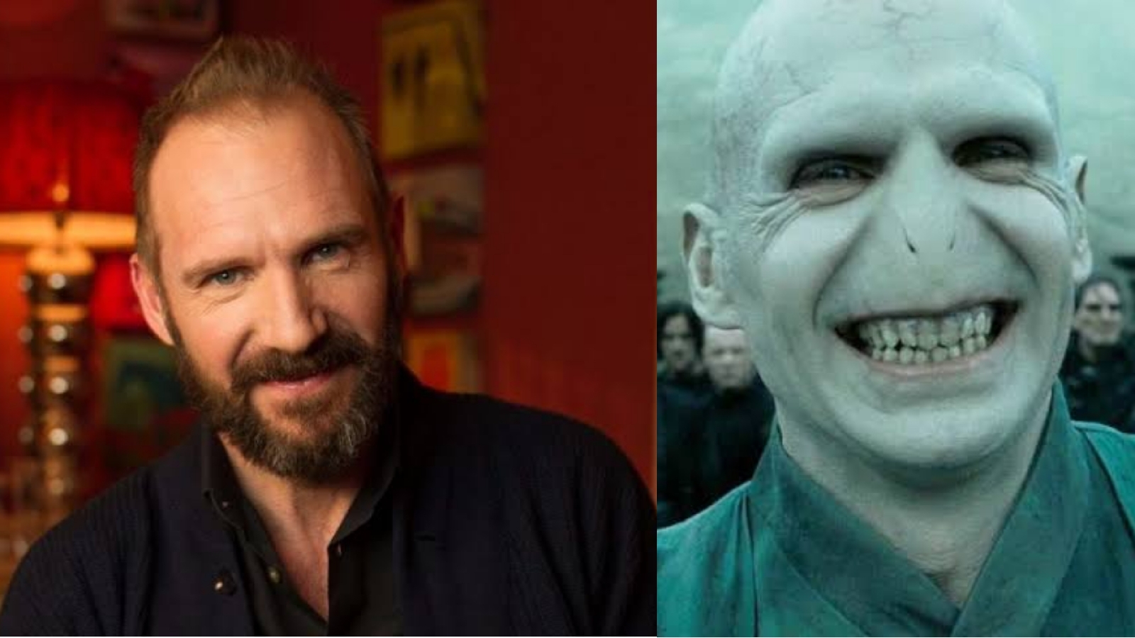 Ralph Fiennes Lord Voldemort