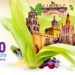 León expondrá su propuesta gastronómica en el evento culinario “Endémico”