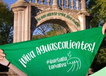 Congreso de Aguascalientes aprueba la despenalización del aborto