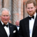 príncipe Harry visita al rey Carlos III