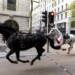 Caballos se escapan y generan caos en Londres; hieren a 4 personas