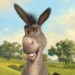 DreamWorks Shrek 5 spin-off Burro