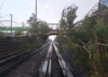 Árbol cae sobre vías de la Línea B del Metro