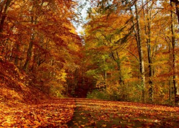 Equinoccio de otoño México inicio