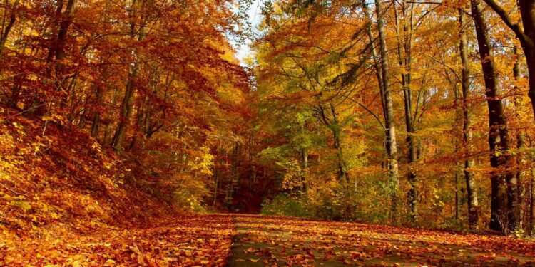 Equinoccio de otoño México inicio