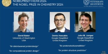 Nobel de Química 2024 a científicos que revelaron los secretos de las proteínas