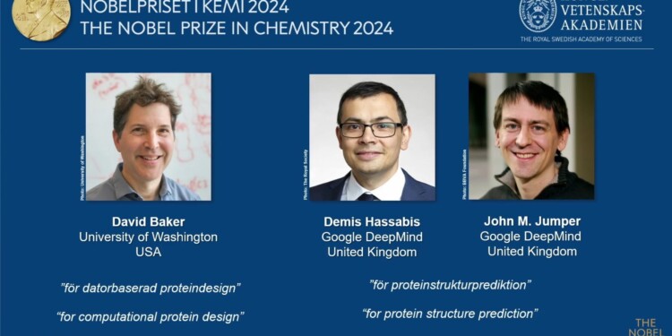 Nobel de Química 2024 a científicos que revelaron los secretos de las proteínas