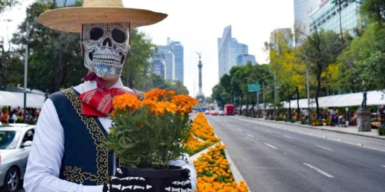 ¡El Festival de las Flores de Cempasúchil llega a Paseo de la Reforma!