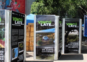 Festival de la Vida Silvestre 2025: Un evento en la UAM Iztapalapa para explorar la biodiversidad y fomentar la conservación ambiental en la CDMX.