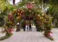 Polanco florece con el Festival de las Flores y Jardines 2025. Descubre arte, naturaleza y sustentabilidad en un evento que transforma Miguel Hidalgo en un museo al aire libre.