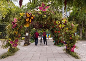 Polanco florece con el Festival de las Flores y Jardines 2025. Descubre arte, naturaleza y sustentabilidad en un evento que transforma Miguel Hidalgo en un museo al aire libre.