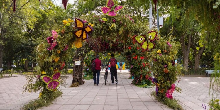 Polanco florece con el Festival de las Flores y Jardines 2025. Descubre arte, naturaleza y sustentabilidad en un evento que transforma Miguel Hidalgo en un museo al aire libre.