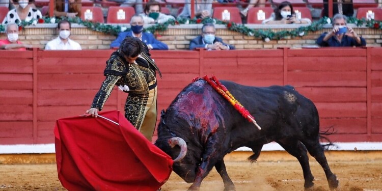 El Congreso de la CDMX aprueba dictamen sobre tauromaquia, prohibiendo el maltrato y la muerte de toros en espectáculos taurinos.