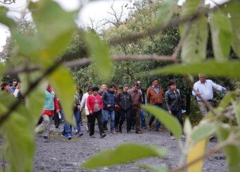 ¡No te pierdas los recorridos guiados por el Parque Ecológico de la CDMX!