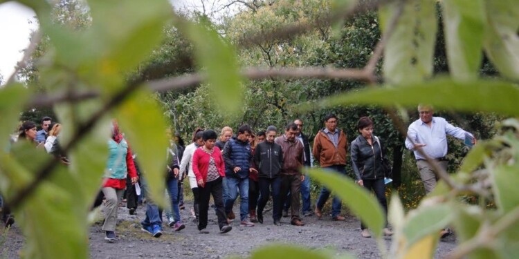 ¡No te pierdas los recorridos guiados por el Parque Ecológico de la CDMX!