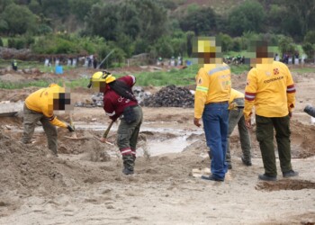 CDMX recupera 3.75 hectáreas de Suelo de Conservación en Tláhuac
