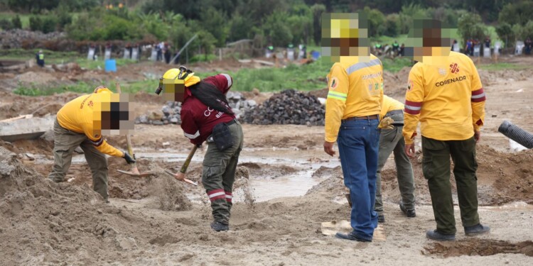 CDMX recupera 3.75 hectáreas de Suelo de Conservación en Tláhuac