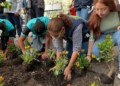Arranca programa de reforestación del Centro Histórico capitalino