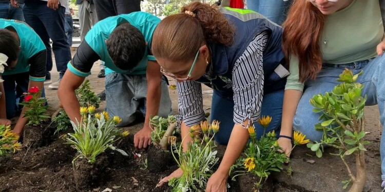 Arranca programa de reforestación del Centro Histórico capitalino