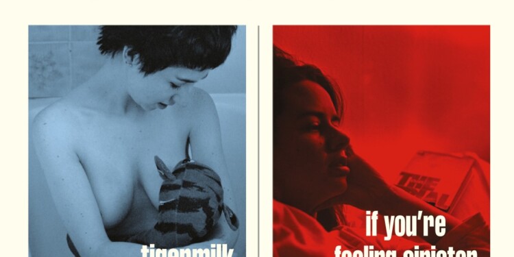 BELLE&SEBASTIAN [Recuperado]
