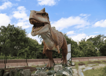 Dinoexcava, una aventura prehistórica en la CDMX