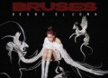 Bruses_artes Pvt