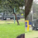 Captan a militares circulando en Ciudad Universitaria; fue por “una equivocación”: UNAM
