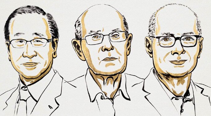 Dan Nobel de Química 2025 a científicos por el desarrollo de la ‘arquitectura’ molecular
