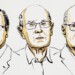 Dan Nobel de Química 2025 a científicos por el desarrollo de la ‘arquitectura’ molecular