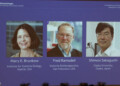 Mary E. Brunkow, Fred Ramsdell y Shimon Sakaguchi ganan el Nobel de Medicina 2025