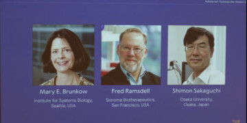 Mary E. Brunkow, Fred Ramsdell y Shimon Sakaguchi ganan el Nobel de Medicina 2025