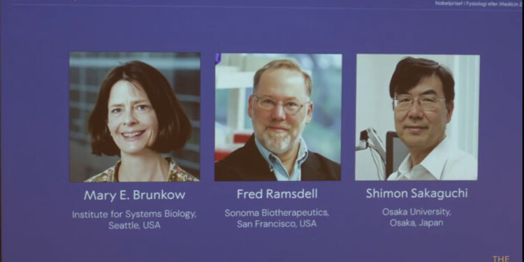 Mary E. Brunkow, Fred Ramsdell y Shimon Sakaguchi ganan el Nobel de Medicina 2025