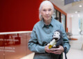 Muere Jane Goodall, reconocida experta en chimpancés